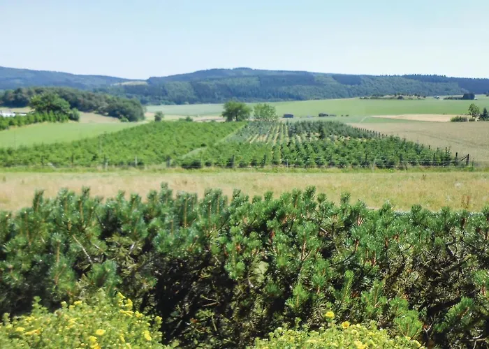 Cozy In Medebach-duedinghausen Appartement Medebach